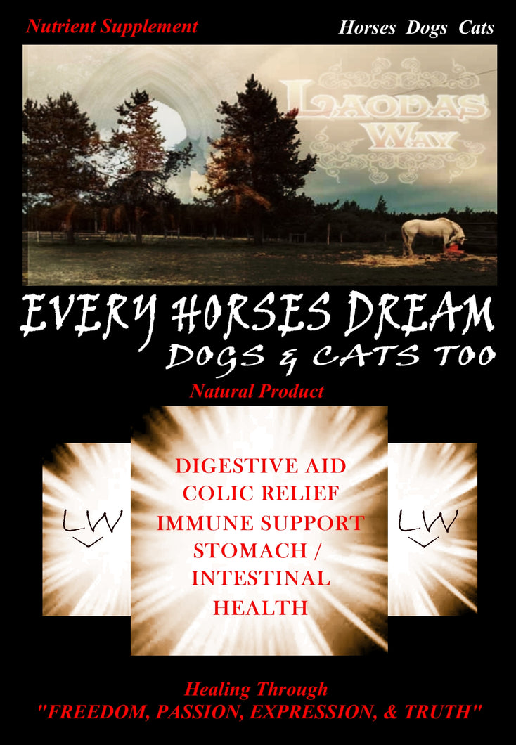 EVERY HORSES DREAM  Every Dog's and Cat's Dream Too!