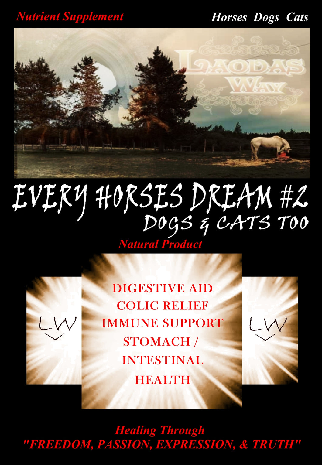 EVERY HORSES DREAM #2