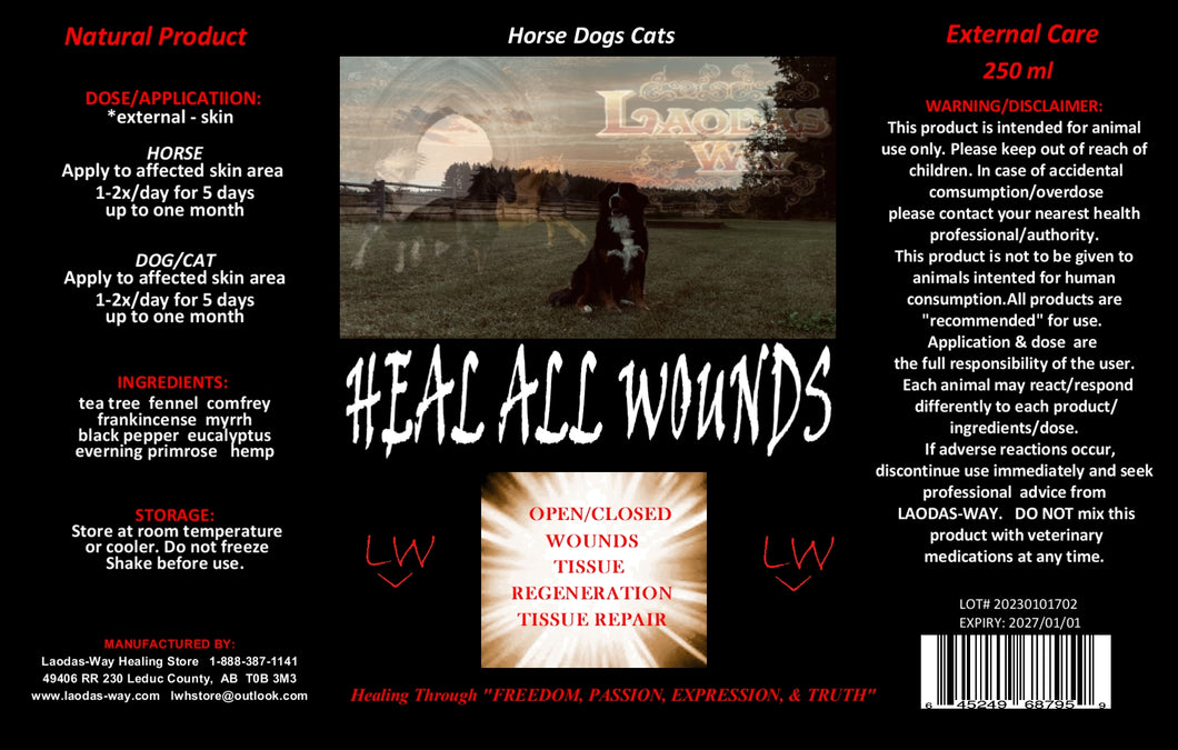 Heal All Wounds Internal