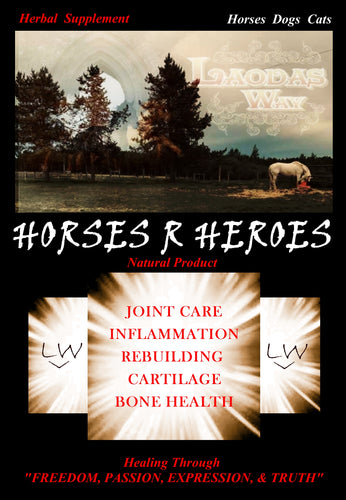 HORSES 'R' HEROES   Pets Too!