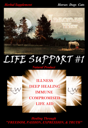 LIFE SUPPORT #1