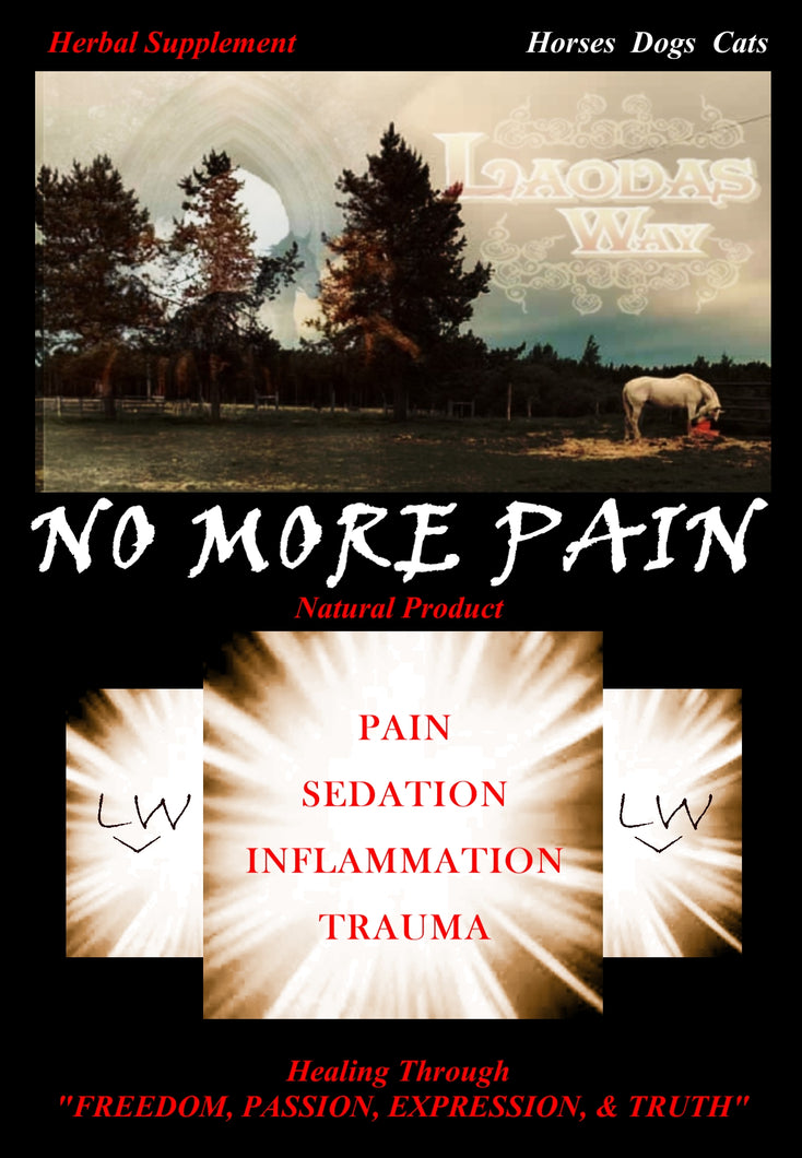 NO MORE PAIN - Powder