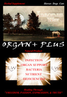 ORGAN + PLUS