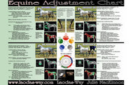 EQUINE ADJUSTMENT CHART
