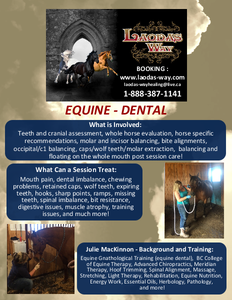 EQUINE Dental