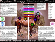 EQUINE ENERGY CHART