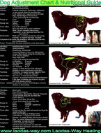 CANINE / FELINE CHART